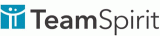 株式会社チームスピリット